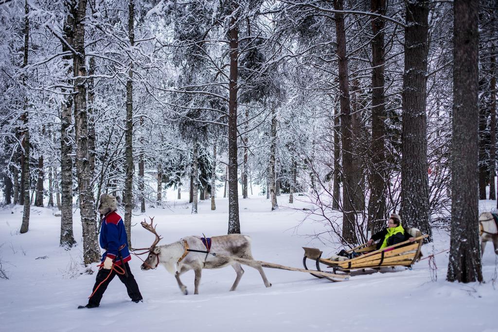 فندق رانوافي  Lapland Igloo المظهر الخارجي الصورة