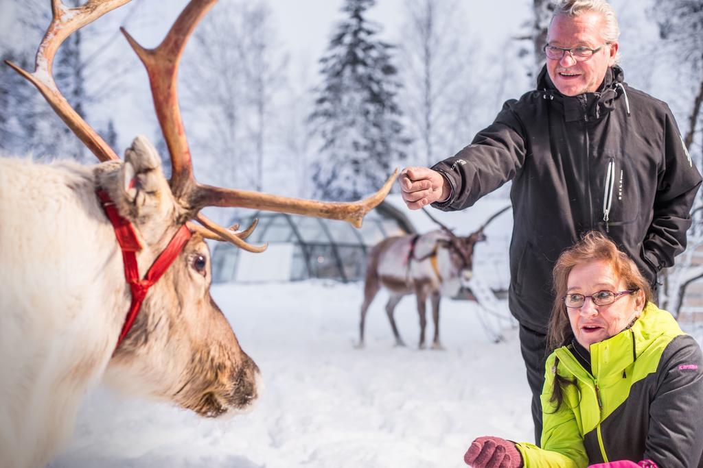 فندق رانوافي  Lapland Igloo المظهر الخارجي الصورة